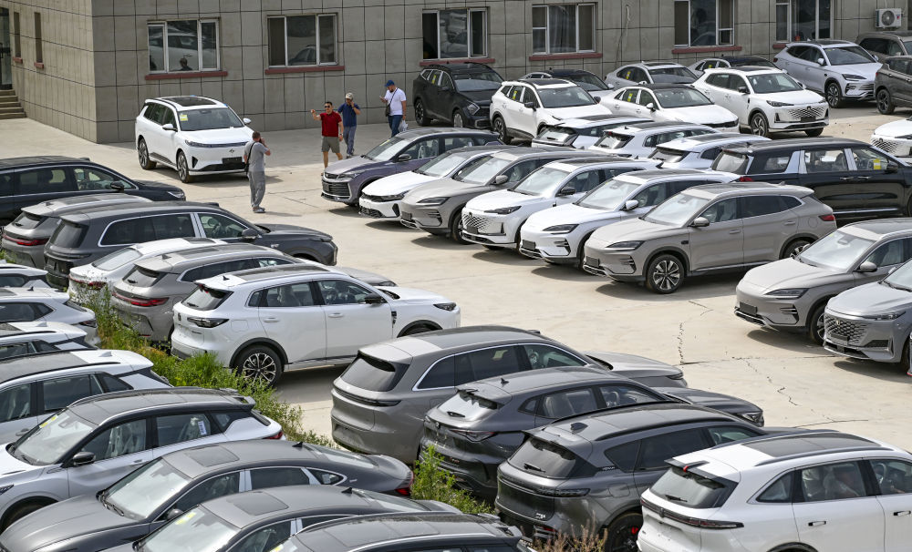 在新疆霍尔果斯一家汽车贸易公司,外国客商在室外仓库了解情况(6月10日摄)。新华社记者 陈朔 摄