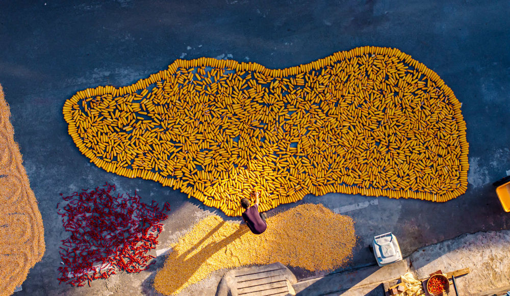 ↑2025年9月18日，农民在贵州省黔西市锦星镇木渣黑社区晾晒玉米和红辣椒。（无人机照片）CICPHOTO/范晖 摄