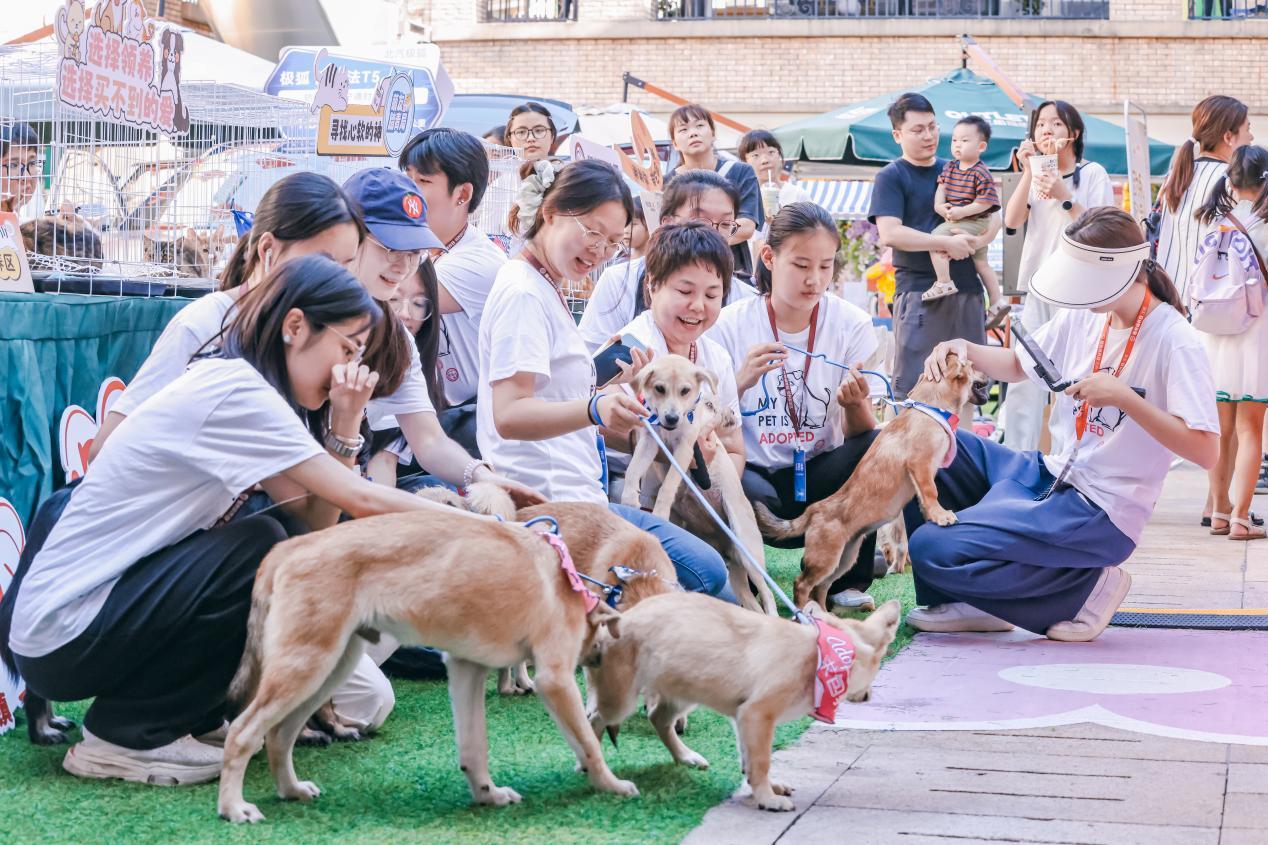 闽侯县的“福州砂之船小镇”人气爆棚。 福州砂之船小镇 供图