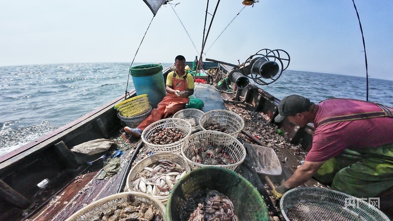 出海捕捞的渔民丰收回港（央广网记者 李子平 摄）