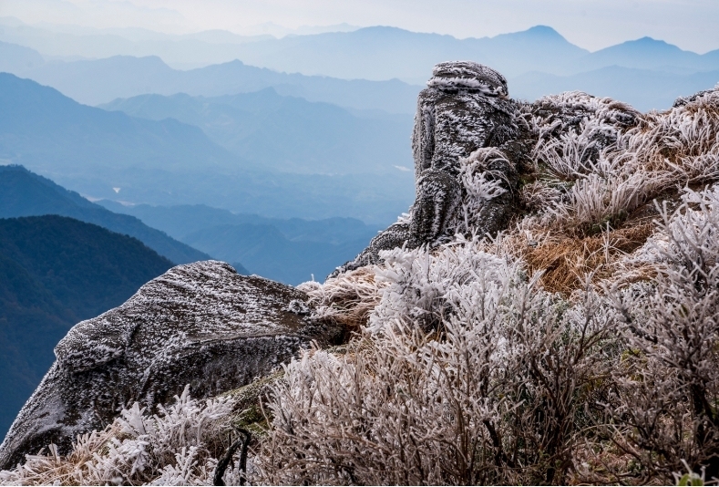 广东清远三水瑶族乡与湖南蓝山县交界的南方坳,树枝被冰层包裹,草丛披上水晶外衣。南方+记者 段奇 摄