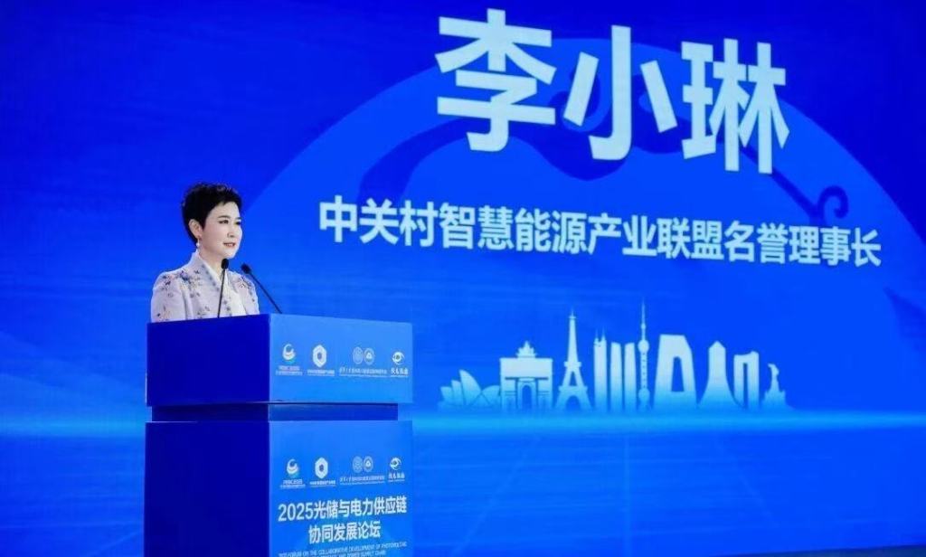 11月17日,李小琳在光储与电力供应链协同发展论坛上建言行业发展