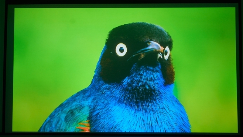 亮度不虚标的典范!哈趣H3 Ultra Max评测:2000元以内最强游戏投影仪