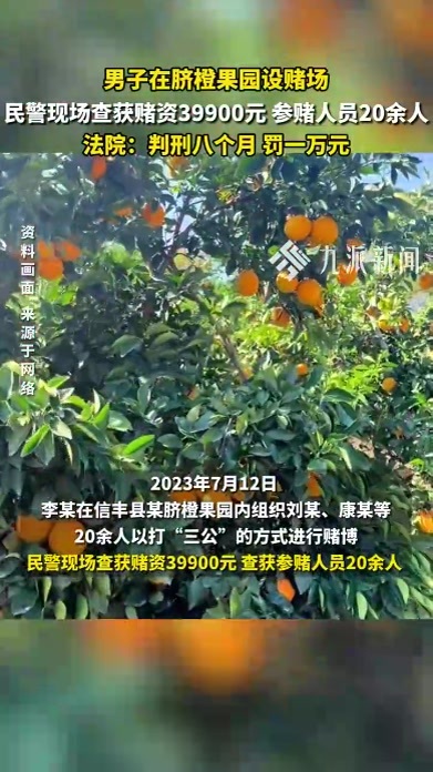 男子在脐橙果园设赌场，被查获赌资39900元，法院：判刑八个月