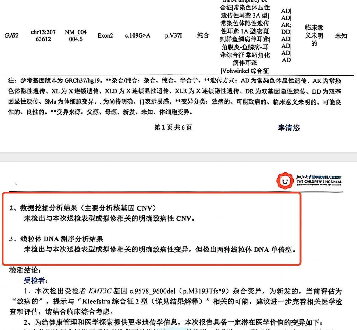 ▲小泡芙的基因检测报告 图据受访者