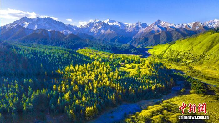 图为祁连山水源涵养林　资料图　脱兴福　摄