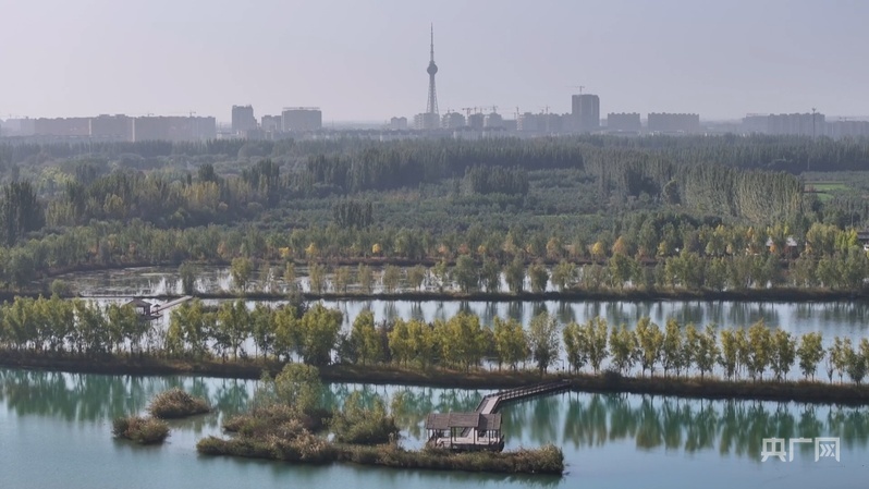 俯瞰湿地公园,生机盎然 (央广网发 崔书敏 摄)