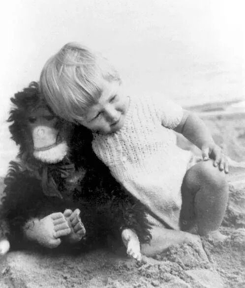 珍·古道爾和玩偶“朱比利”