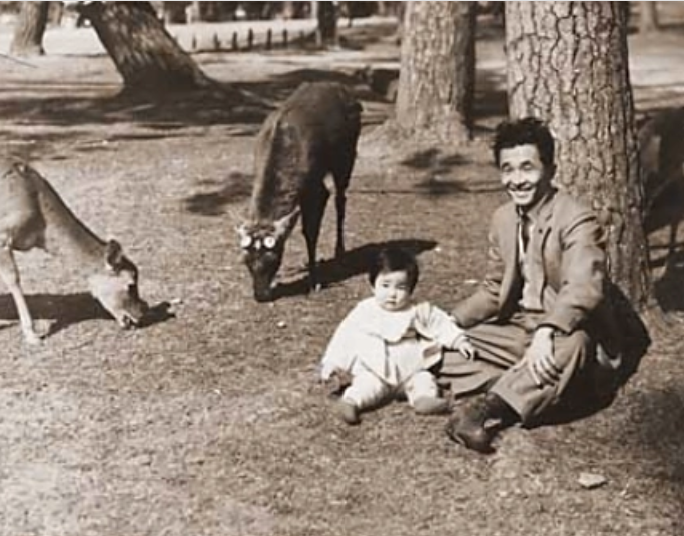 ·1歲時,高市與父親在奈良公園。(日本經濟新聞)