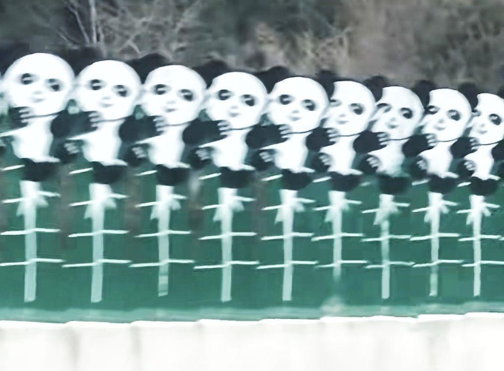 网友发布作品