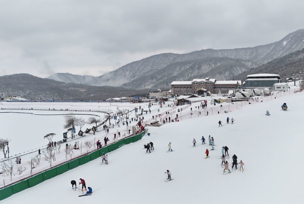↑1月14日,爱好者在成都西岭雪山滑雪场滑雪。新华社记者 刘坤 摄