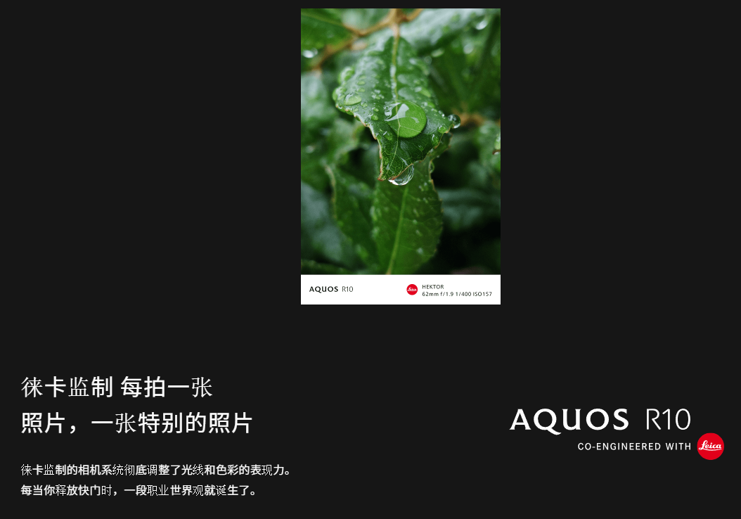 刚发布这新机,提前预定闲鱼最香洋垃圾