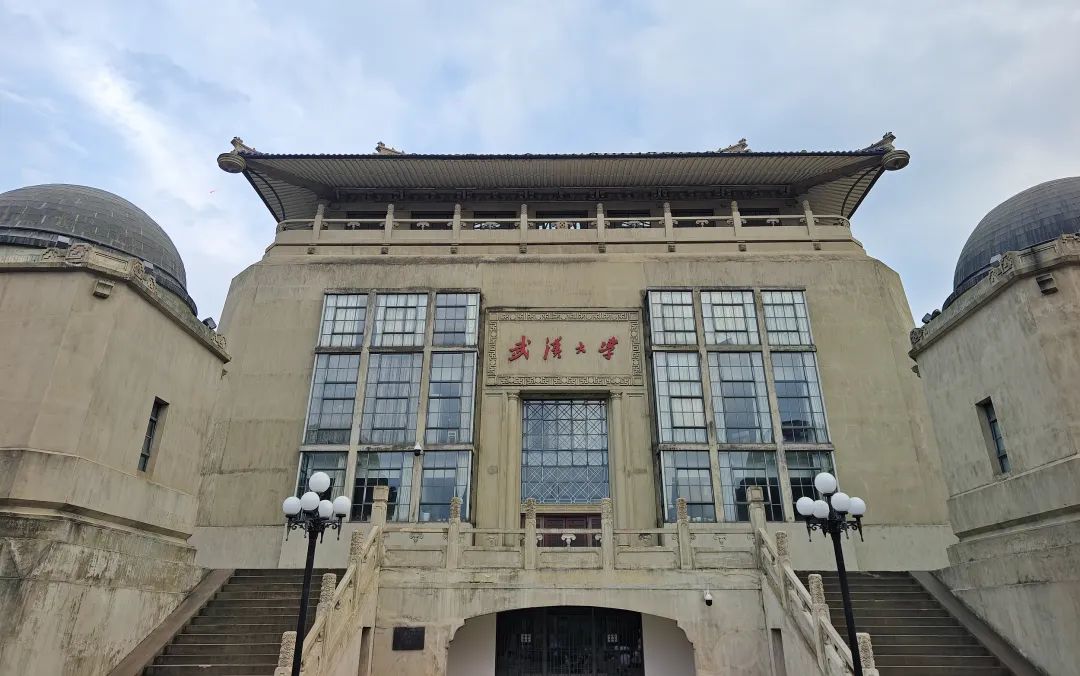武大应全面调查:谁是力保杨某媛的幕后推手