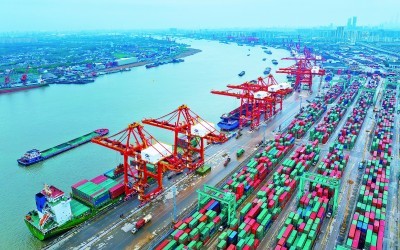 上海市宝山区张华浜码头,装卸作业有序进行。张明伟摄/光明图片