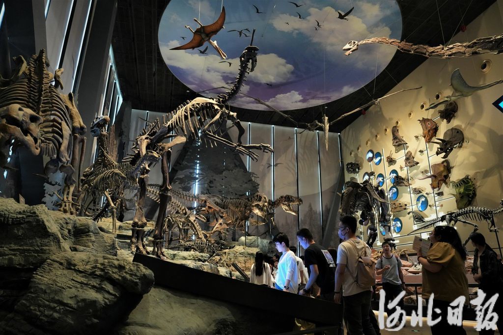 游客在中国古动物馆(保定自然博物馆)参观。河北日报资料片