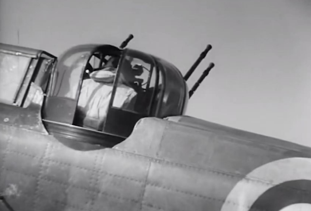 旅行】極限大挑戰！澳洲高空跳傘Skydiving Byron Bay - Les Femmes Co., image size:1080x733