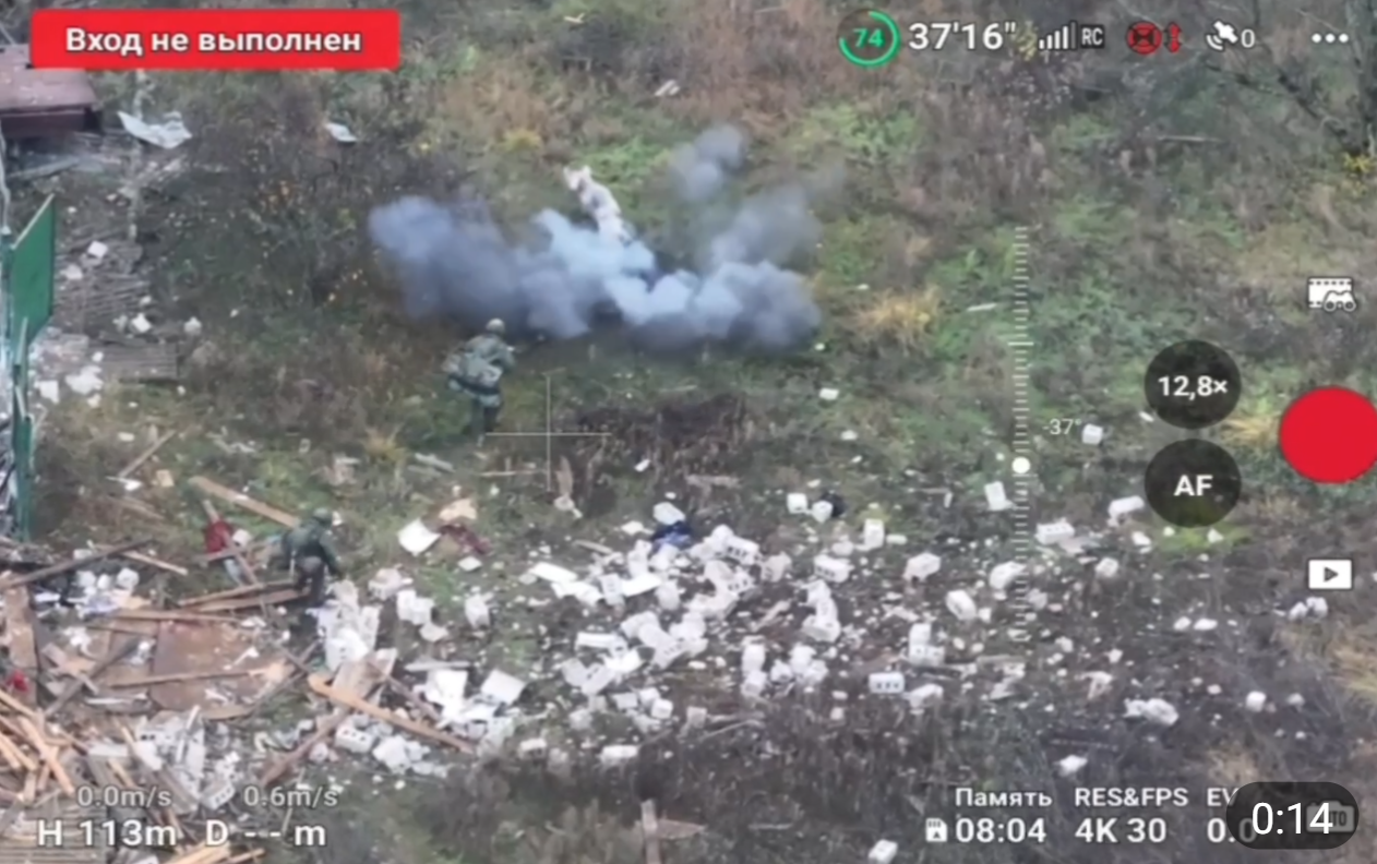 社交媒体视频显示,一头猪突然冲出引爆地雷救下两名俄军士兵。图为该视频截图