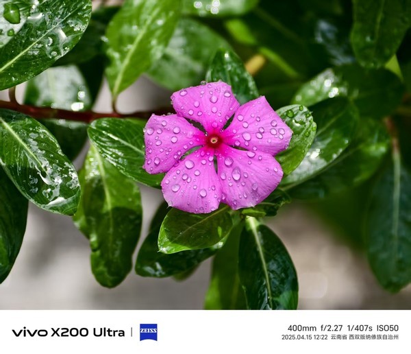 使用vivo X200 Ultra搭配长焦增距镜拍摄