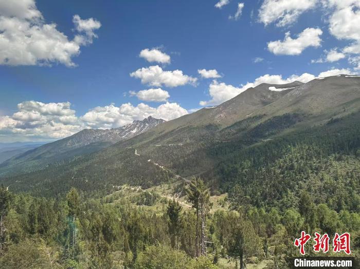 6月11日,由中国和平统一促进会主办的海外华文媒体“高原行”迪庆采风活动来到玉杰村采访。图为白马雪山国家级自然保护区景色。 中新社记者 杨程晨 摄