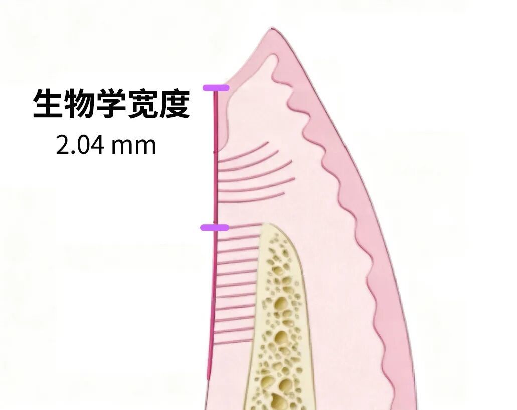 图片来源:YouTube