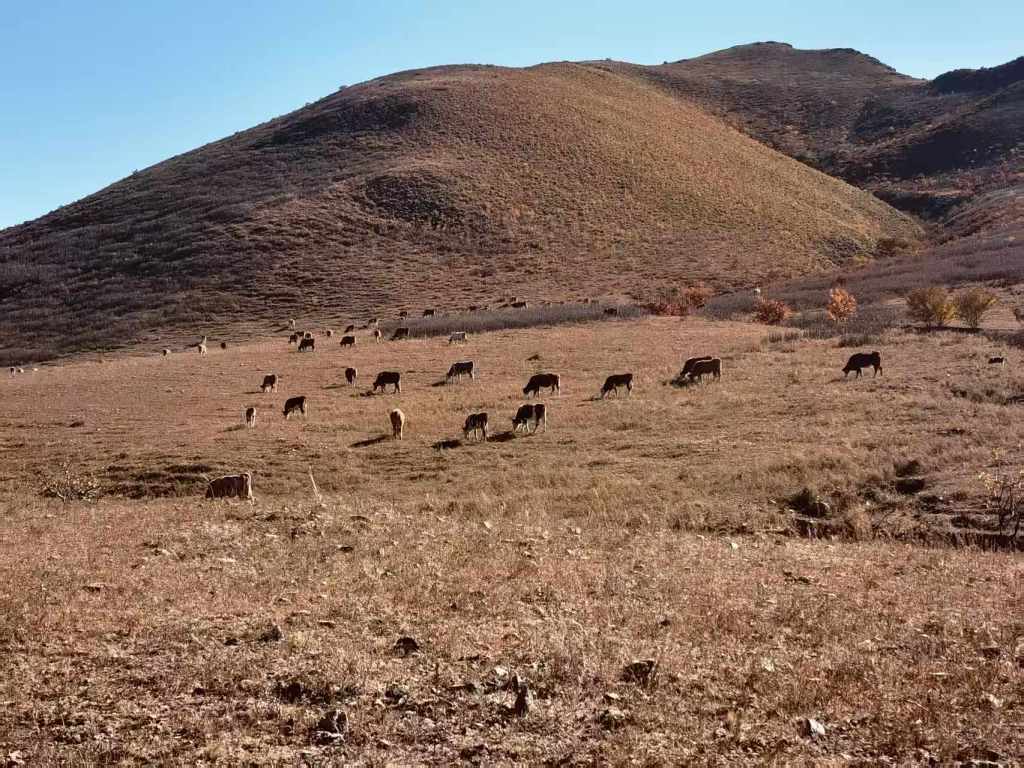大北叉沟。本文图片来源均为受访者提供