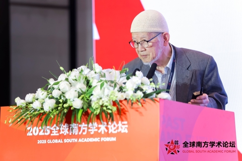 旅日华侨中日交流促进会秘书长林伯耀 全球南方学术论坛