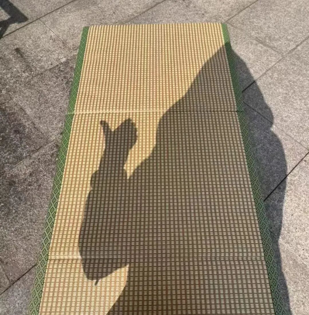 在地上铺垫子准备晒背。（图/网络截图）