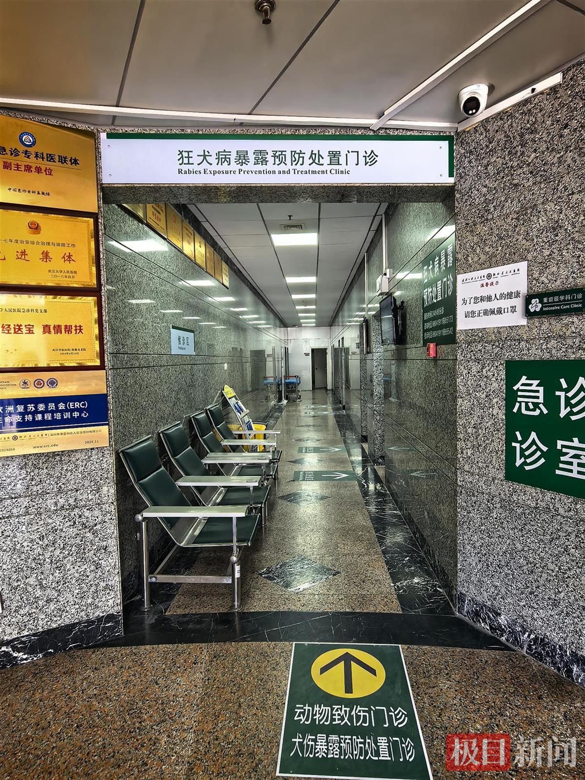 动物门诊用什么x光机被动物咬伤，宁可“小题大做”！武汉大学人民医院开设“24小时动物致伤门诊”_https://www.jmylbn.com_新闻资讯_第4张