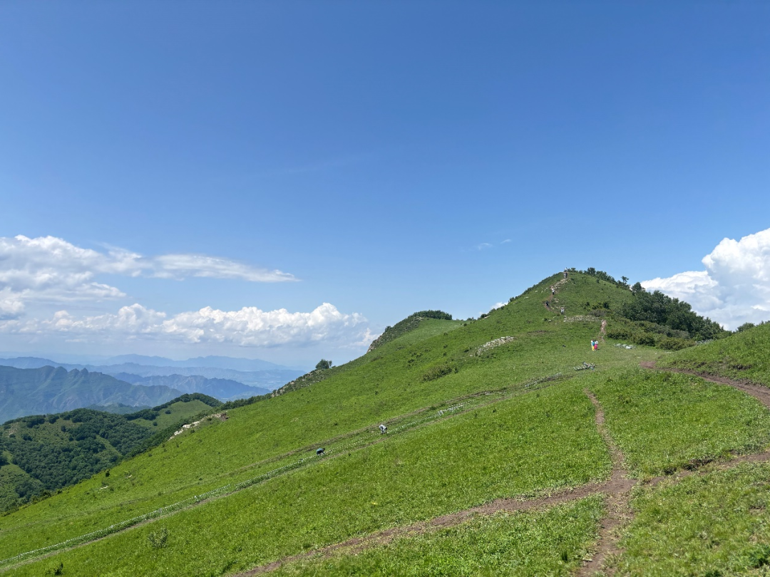 北灵山的高山草甸