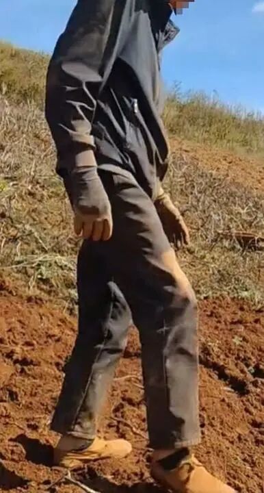 杨忠奎回家后,经常和儿子去自家地里溜达。 受访者供图