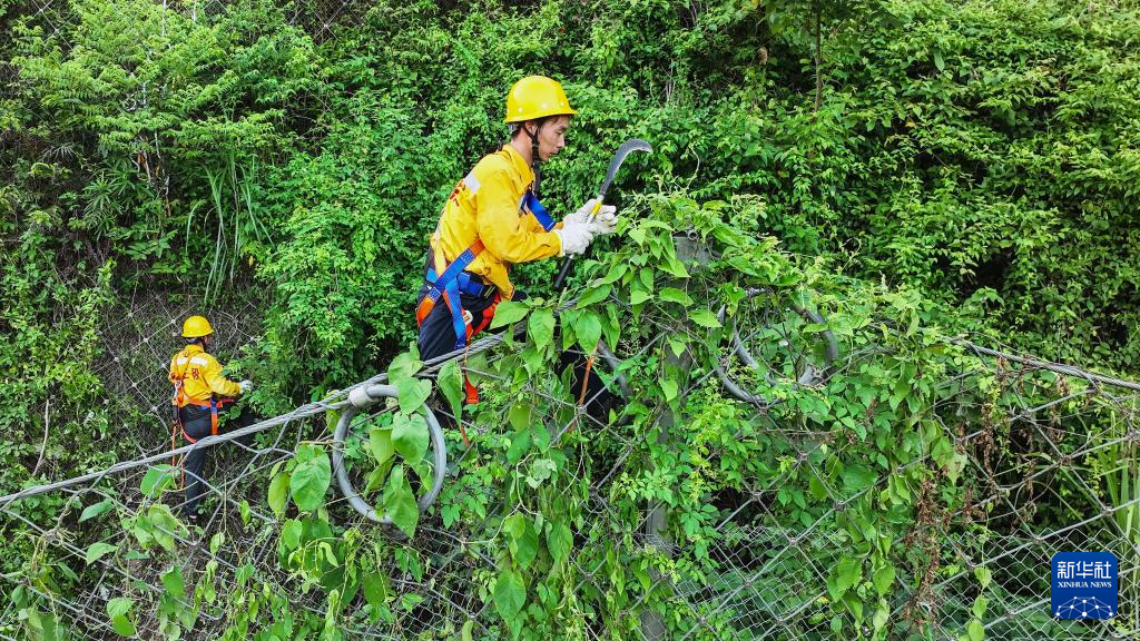 桥隧工人清除被动网上的藤蔓和杂草（7月15日摄，无人机照片）。