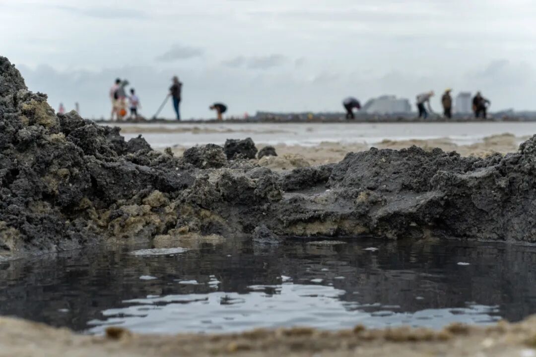 人潮散去,滩涂留下的大量深坑。