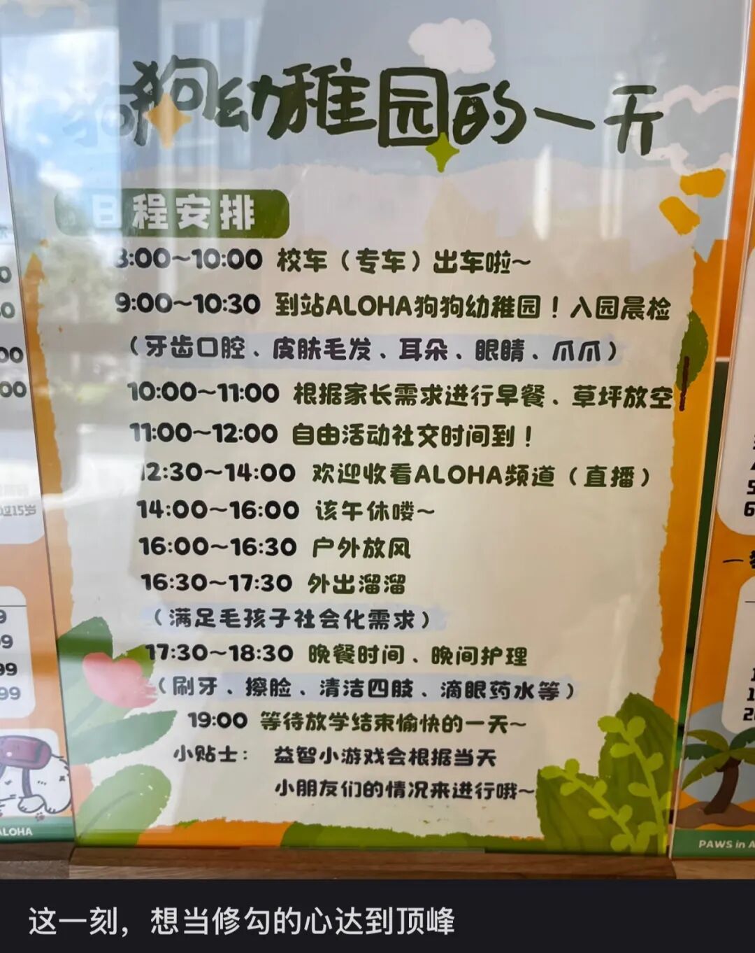 〓 图源小红书用户@宇宙岛民