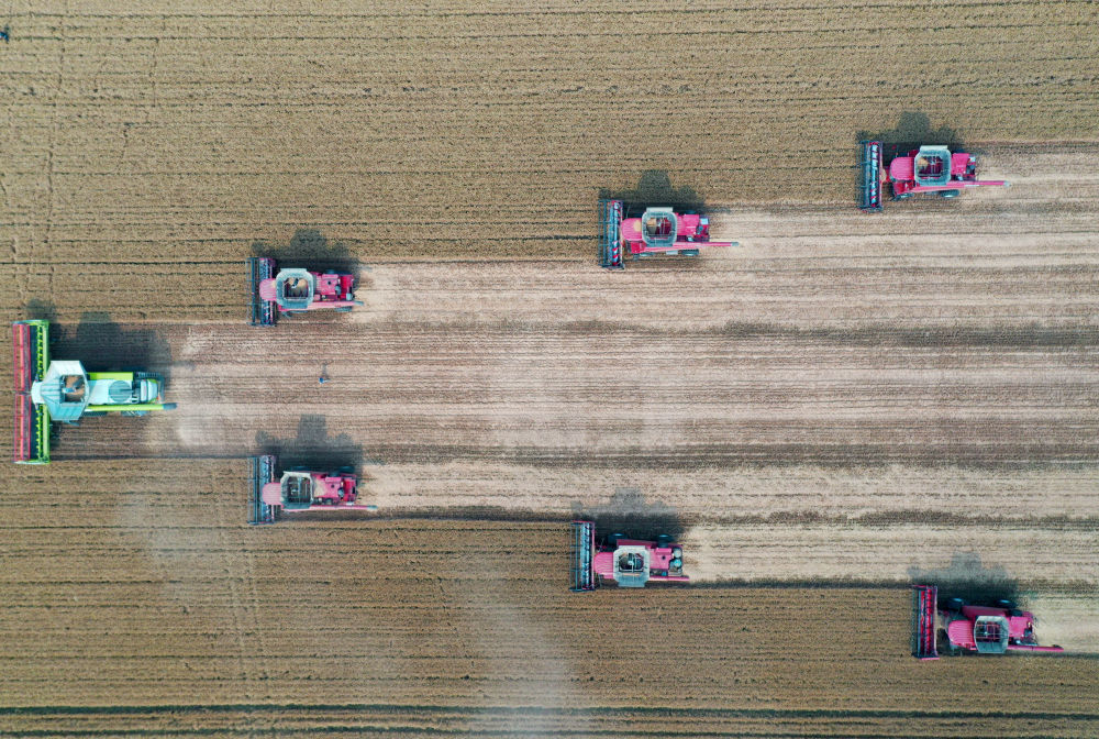 5月29日，在河南省西华县黄泛区实业集团农业第四分公司的麦田里，农机手操作收割机收获小麦（无人机照片）。新华社记者 郝源 摄