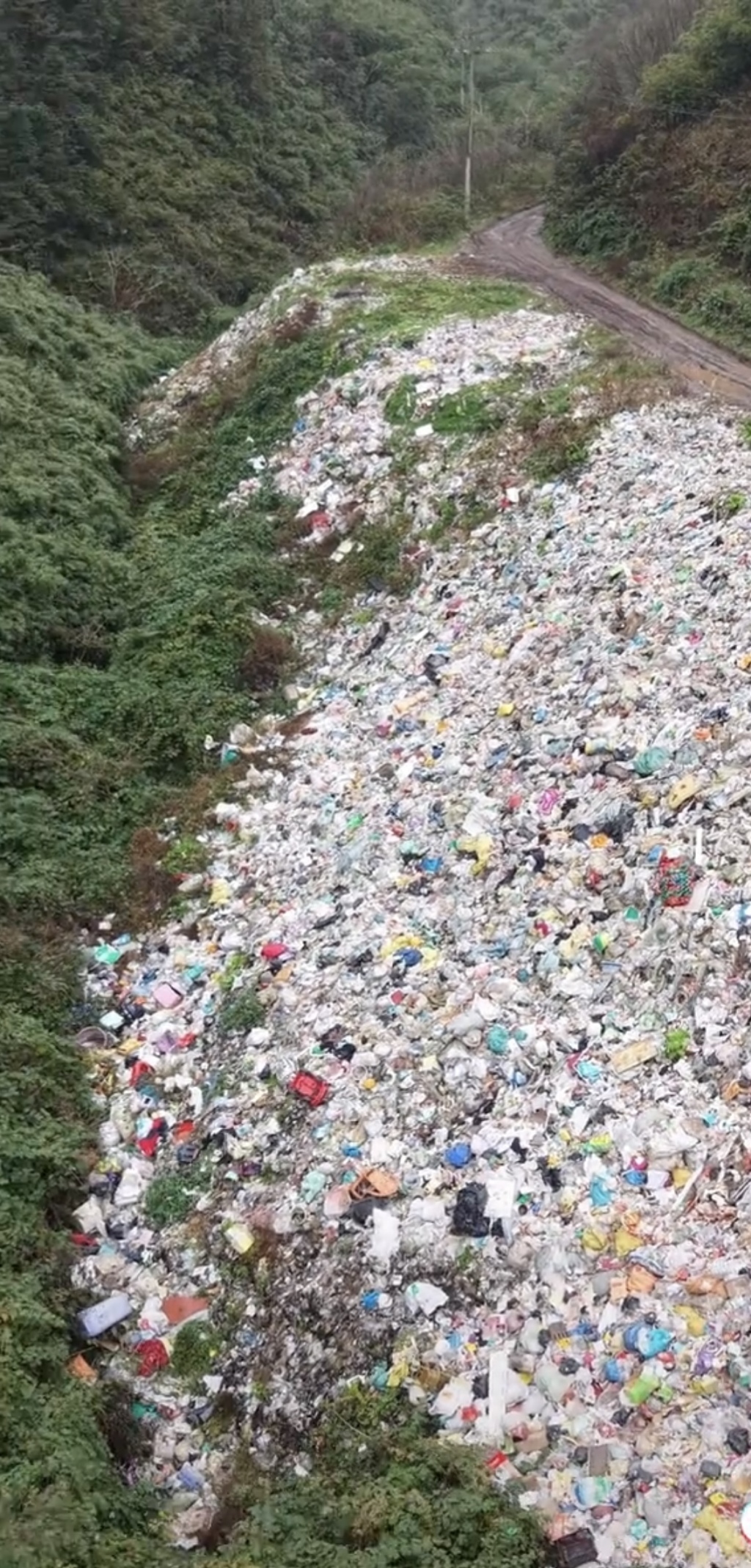 路边随意倾倒的生活垃圾。