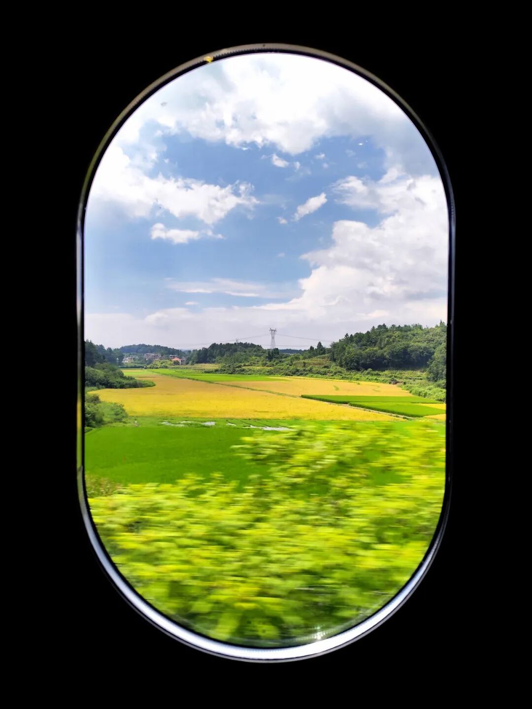 作者：学生唐之婳