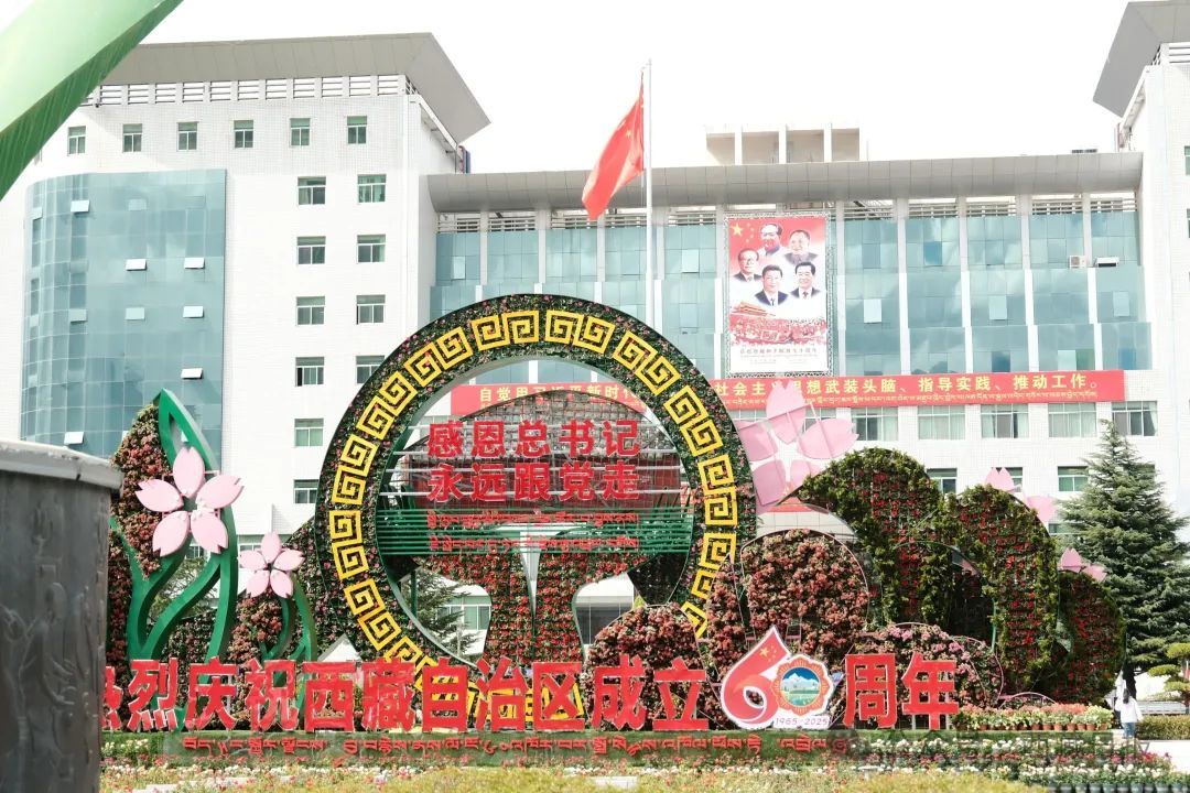 图为林芝市区布置的庆祝西藏自治区成立60周年主题花坛。记者 王珊 谢筱纯 摄