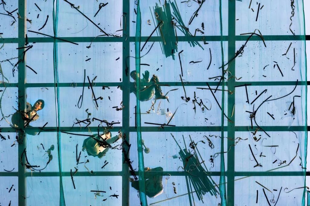 玻璃屋顶 Glass Roof, 2013。©Michael Freeman