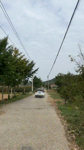 小红回村种地了的抖音 - 抖音 -middle-original (7).gif