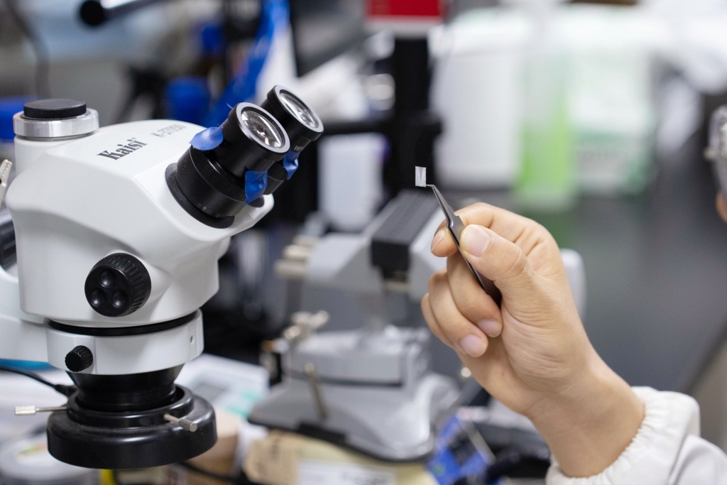 《科学》刊文!复旦科学家通过脑机接口,使失明动物恢复视觉功能