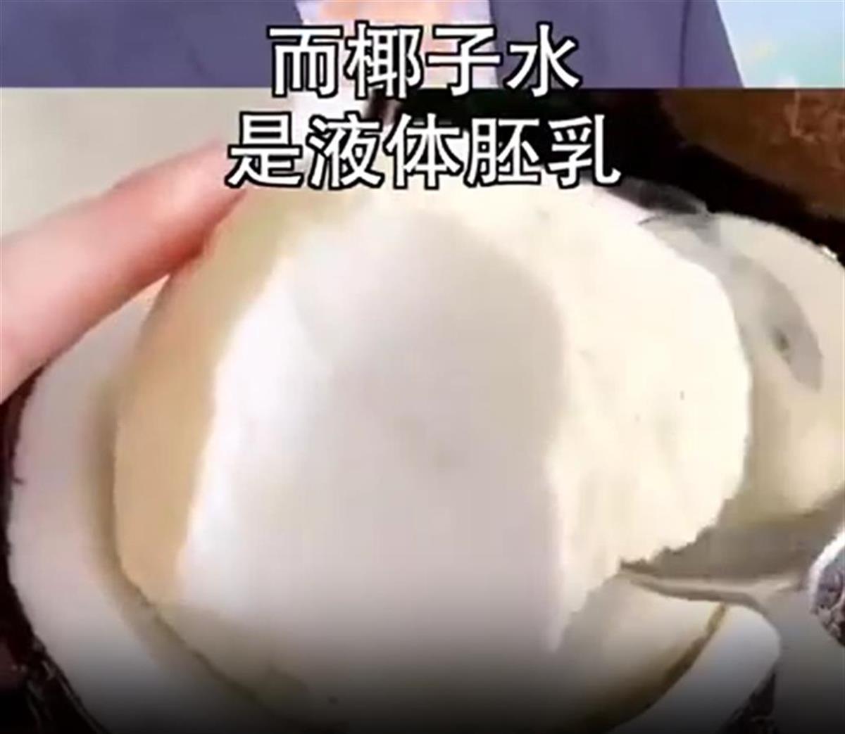 椰子1.png