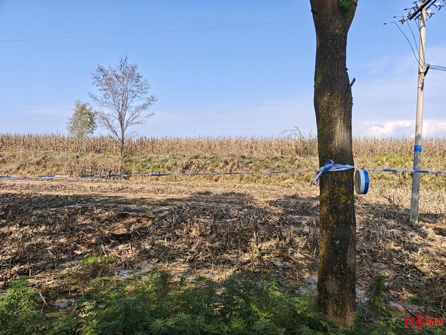 ▲马来腰村水泥路边的玉米地已经被拉上警戒线