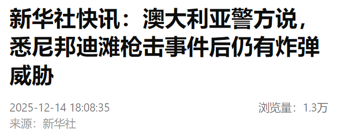 悉尼枪击案惊险一幕:男子从背后靠近枪手,上前与其扭打成功夺枪