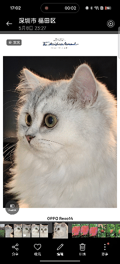 超美小OPhone新体验:OPPO Reno14满足你对小屏手机的所有期待