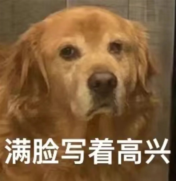 为了吸引你买手机 厂商们已经开始在参数页上动起手脚了