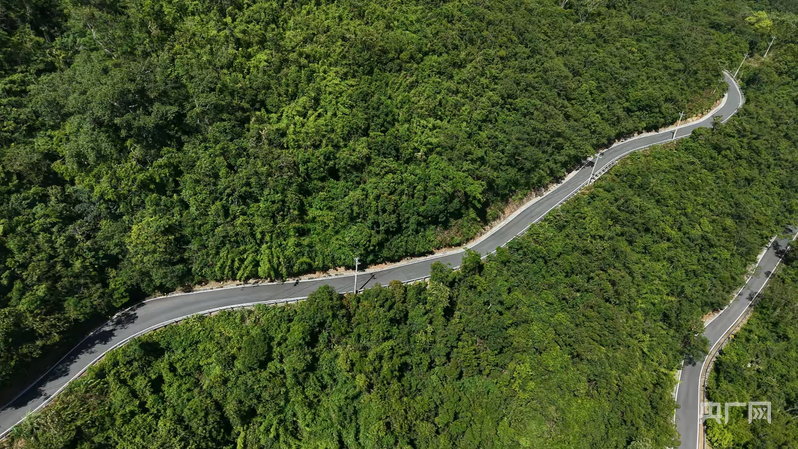 航拍进出王下乡的公路（央广网记者 陶淦 摄）