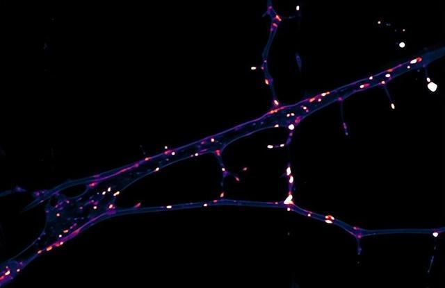 没有博士学位,也不是科班出身,他的跨界作业却赢了圈内高赞