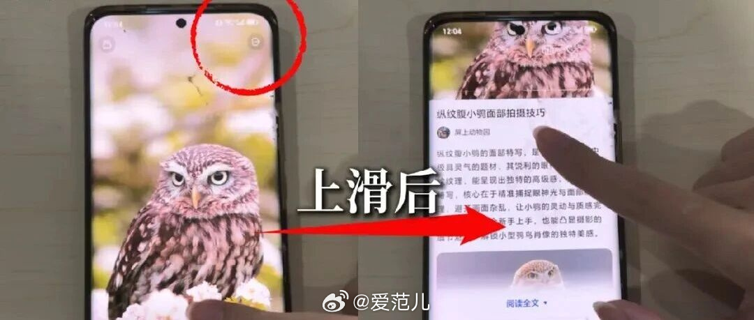 【荣耀回应「魔法画报耽误拨打 120」争议:发帖与事实不符,不予追究