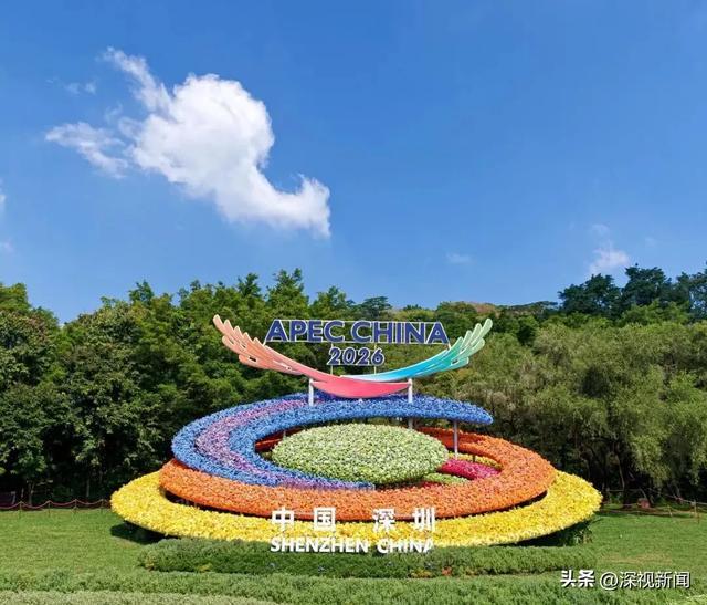 近日,莲花山公园的巨型主题花坛亮相。图源:美丽深圳