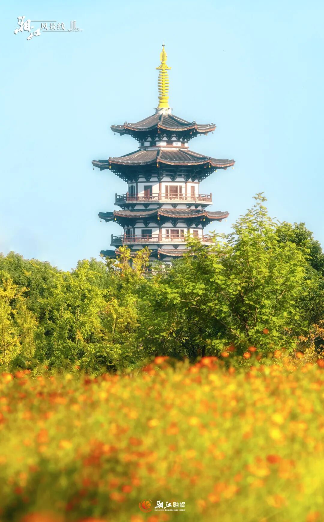 文旅长沙.jpg